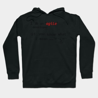 Agile ( ͡° ͜ʖ ͡°) Hoodie